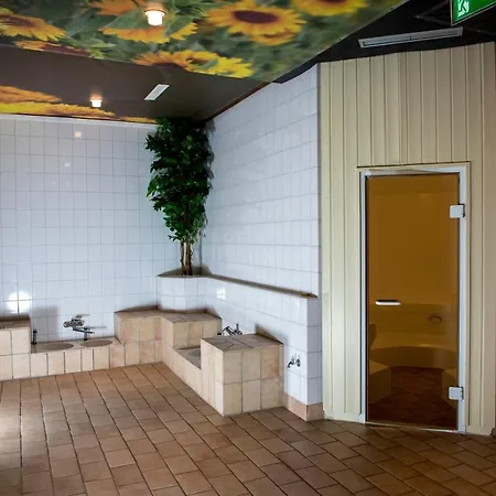Apartment App 362 Panoramic Hohegeiss