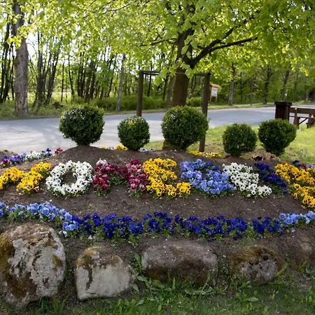 App 362 Panoramic Hohegeiss Apartment *