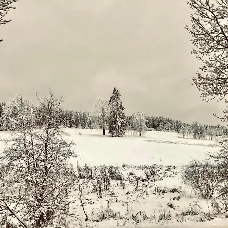 App 362 Panoramic Hohegeiss Apartmán *