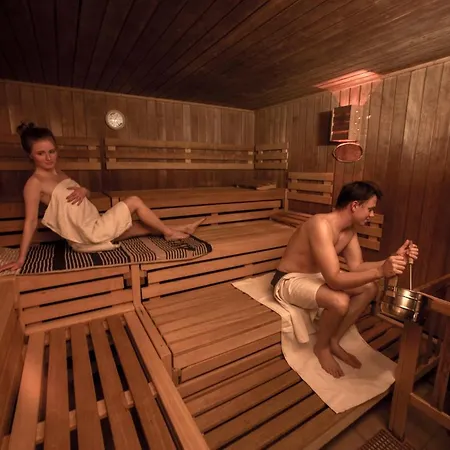 App 362 Panoramic Hohegeiss Braunlage