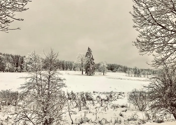 App 362 Panoramic Hohegeiss Apartman *