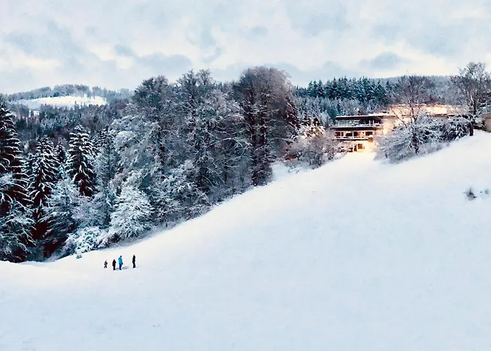 App 362 Panoramic Hohegeiss Apartman